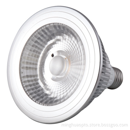 15W COB LED PAR38